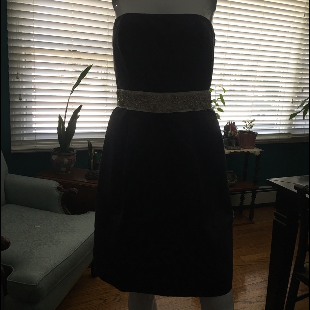 Anne taylor dress